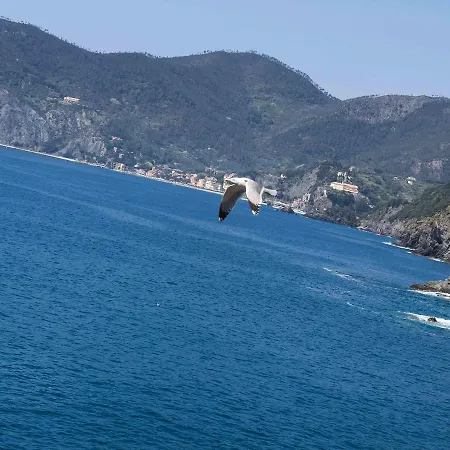 Ventega Sea View * Vernazza
